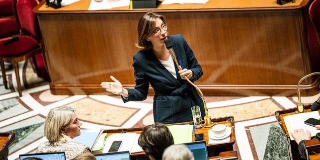 Mancanza di bilancio in Francia: la ministra Amélie de Montchalin tra fallimento e riconoscimento politico