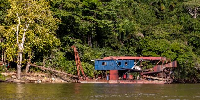 Guyana: migliaia di minatori clandestini sfidano gli sforzi governativi mentre i prezzi dell'oro salgono
