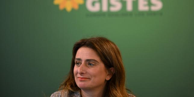 Partito ecologista sospende 30 membri dopo critica alla sua alleanza con il PS