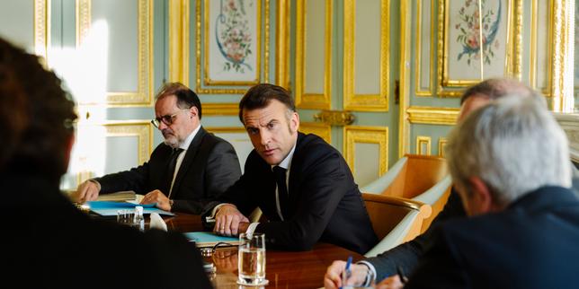 Macron pianta un albero all'Elysée in memoria di Ilan Halimi: un gesto contro l'antisemitismo