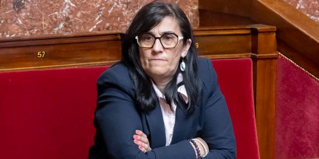 Vincent Claudin, assistente del RN, licenziato per post razzisti, omofobi e antisemitismo