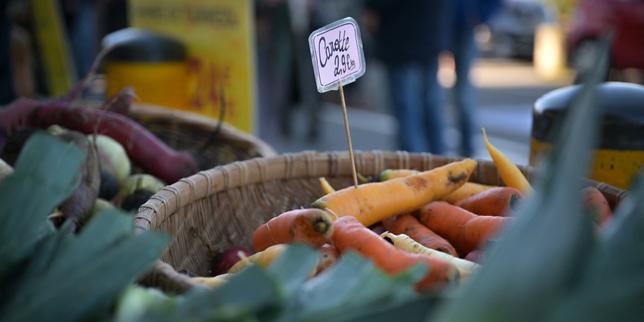 Strategia nazionale sull’alimentazione: guida per una dieta più sana e riduzione delle emissioni entro il 2030